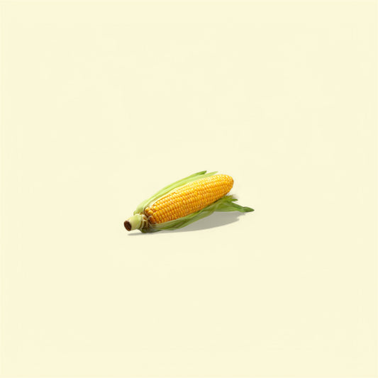 Elote
